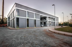 @JuniaMortimer-01 (4)