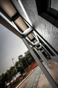 @JuniaMortimer-01 (6)